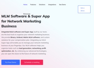 How integratedmlmsoftware.com looks like on a tablet such as an iPad.