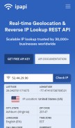 How ipapi.com looks like on a mobile device such as an iPhone.