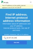 How ipinfo.space looks like on a mobile device such as an iPhone.
