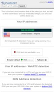 How ipleak.net looks like on a mobile device such as an iPhone.