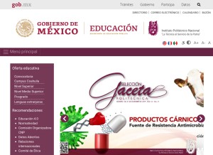 How ipn.mx looks like on a tablet such as an iPad.