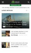 How irelandbeforeyoudie.com looks like on a mobile device such as an iPhone.