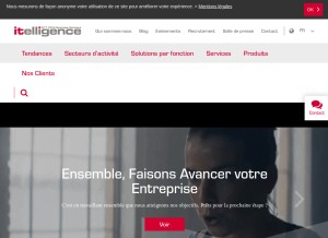 How itelligencegroup.com looks like on a tablet such as an iPad.