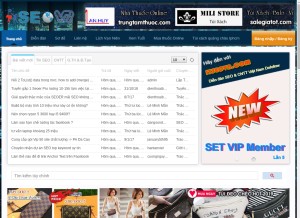 How itseovn.com looks like on a tablet such as an iPad.