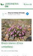 How jardineriaon.com looks like on a mobile device such as an iPhone.