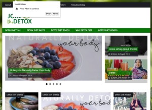 How joindetox.info looks like on a tablet such as an iPad.