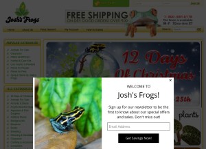 How joshsfrogs.com looks like on a tablet such as an iPad.