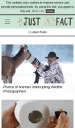 How justperfact.com looks like on a mobile device such as an iPhone.
