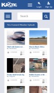 How kaotic.com looks like on a mobile device such as an iPhone.