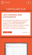 How katchup.fr looks like on a mobile device such as an iPhone.