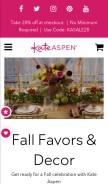 How kateaspen.com looks like on a mobile device such as an iPhone.