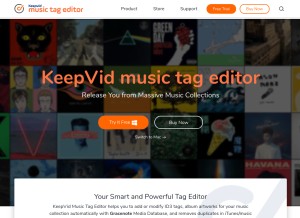 How keepvid.info looks like on a tablet such as an iPad.
