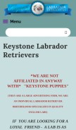 How keystonelabradorretrievers.com looks like on a mobile device such as an iPhone.