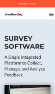 How keysurvey.com looks like on a mobile device such as an iPhone.