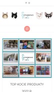 How kotuszkowo.pl looks like on a mobile device such as an iPhone.