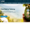 How labattfood.com looks like on a mobile device such as an iPhone.