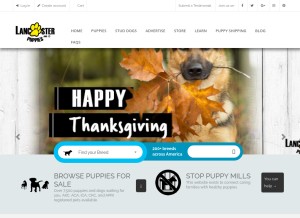 How lancasterpuppies.com looks like on a tablet such as an iPad.