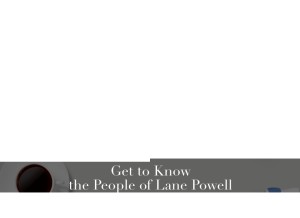 How lanepowell.com looks like on a tablet such as an iPad.