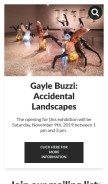 How lapaigallery.com looks like on a mobile device such as an iPhone.