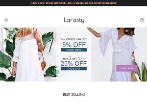 How larasty.com looks like on a tablet such as an iPad.