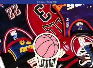 How laundrypdx.com looks like on a tablet such as an iPad.