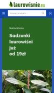 How laurowisnie.eu looks like on a mobile device such as an iPhone.