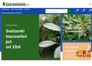 How laurowisnie.eu looks like on a tablet such as an iPad.