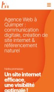 How ledeveloppeurweb.fr looks like on a mobile device such as an iPhone.