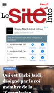 How lesiteinfo.com looks like on a mobile device such as an iPhone.