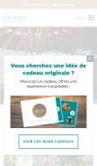 How lesormes.com looks like on a mobile device such as an iPhone.