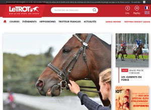How letrot.com looks like on a tablet such as an iPad.