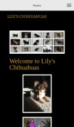 How lilyschihuahuas.com looks like on a mobile device such as an iPhone.