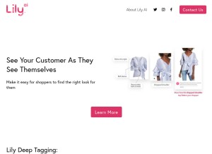 How lilystyle.ai looks like on a tablet such as an iPad.