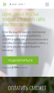 How liqpay.ua looks like on a mobile device such as an iPhone.