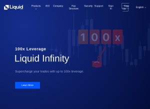 How liquid.com looks like on a tablet such as an iPad.