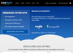 How livehost.fr looks like on a tablet such as an iPad.