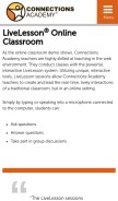 How livelesson.com looks like on a mobile device such as an iPhone.