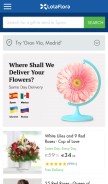 How lolaflora.com looks like on a mobile device such as an iPhone.