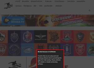 How longzanam.com looks like on a tablet such as an iPad.