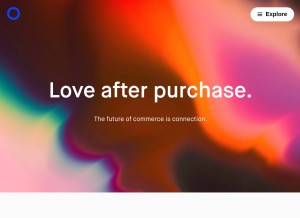 How loopreturns.com looks like on a tablet such as an iPad.