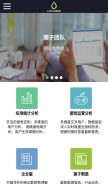 How lotuseed.com looks like on a mobile device such as an iPhone.