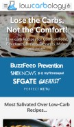 How lowcarb-ology.com looks like on a mobile device such as an iPhone.