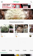 How lrgarden.com looks like on a mobile device such as an iPhone.