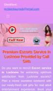 How lucknow.nishinegi.com looks like on a mobile device such as an iPhone.