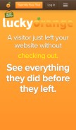 How luckyorange.com looks like on a mobile device such as an iPhone.