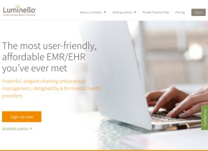 How luminello.com looks like on a tablet such as an iPad.