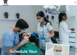 How magnifydental.com looks like on a tablet such as an iPad.