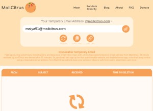 How mailcitrus.com looks like on a tablet such as an iPad.