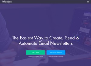 How mailigen.com looks like on a tablet such as an iPad.