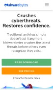How malwarebytes.com looks like on a mobile device such as an iPhone.